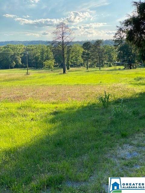 1125 Hwy 5 - Photo 1