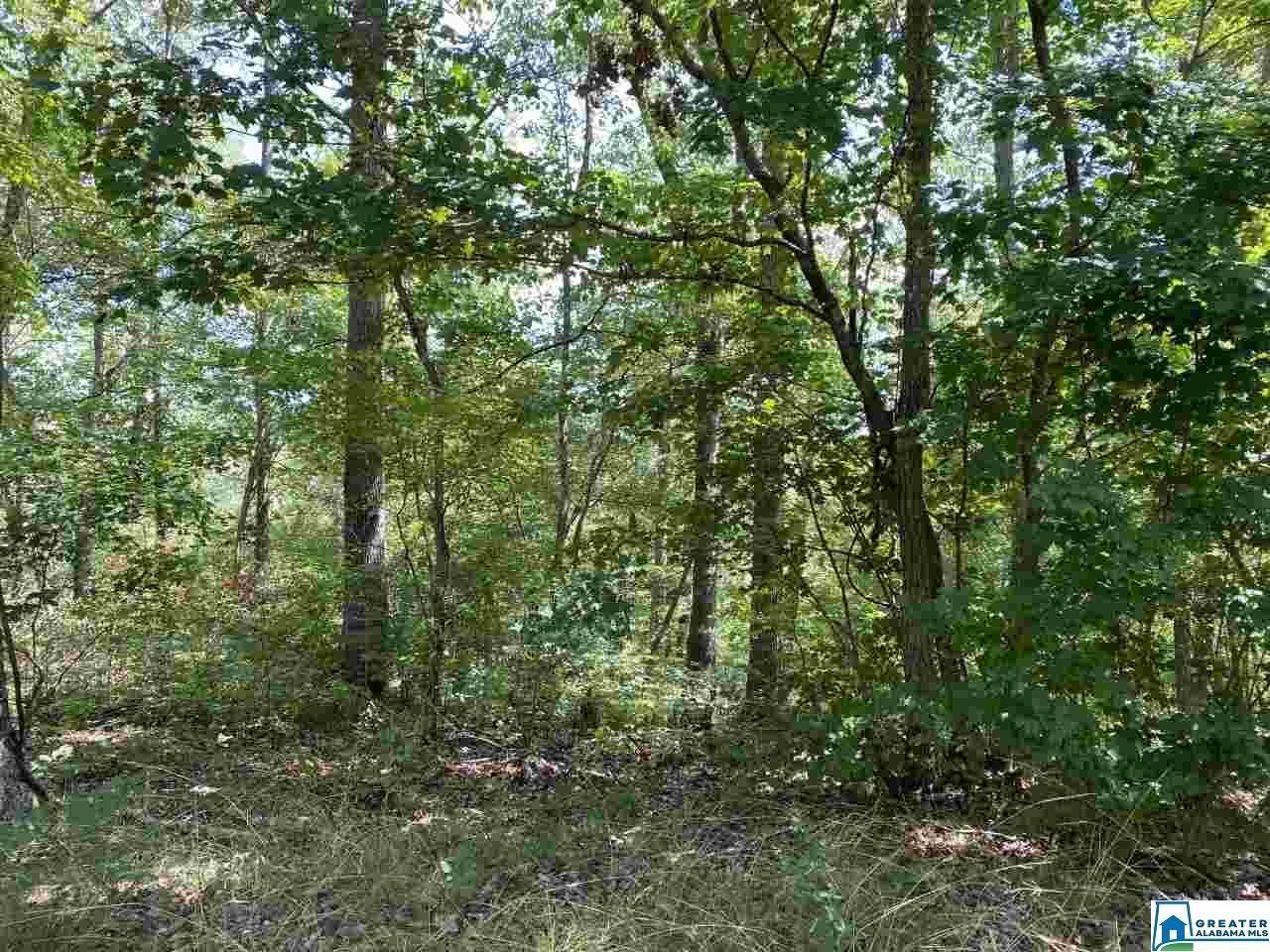 781 Ingle Point Dr - Photo 1