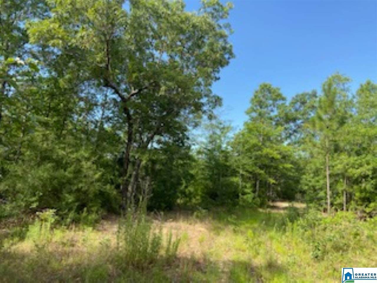 0 Hwy 82 - Photo 1