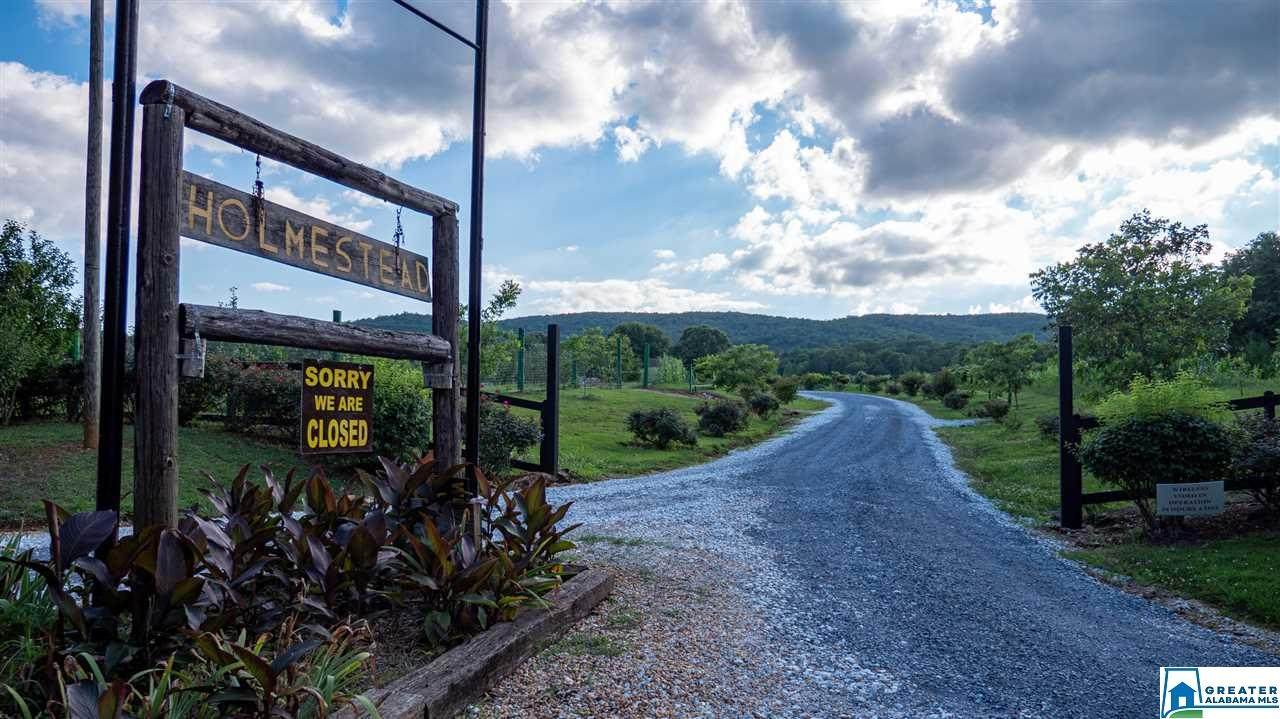 6524 Hwy 7 - Photo 1