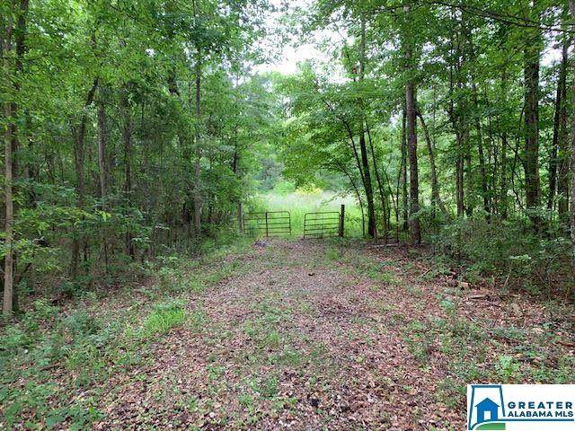 5312 Cahaba Valley Cove - Photo 1