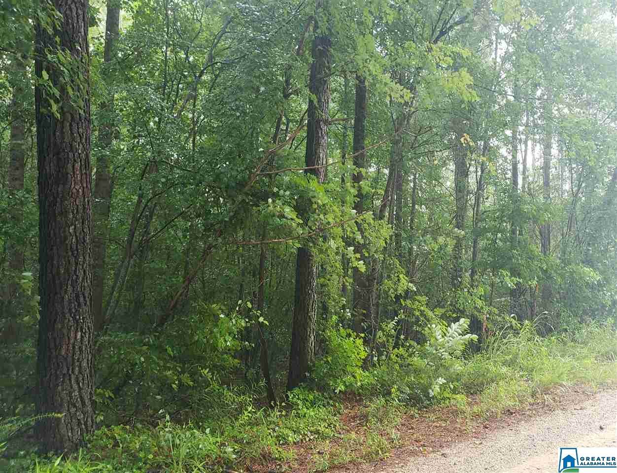 0 Co Rd 642 - Photo 1