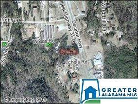 6874 Old Hwy 31 - Photo 1