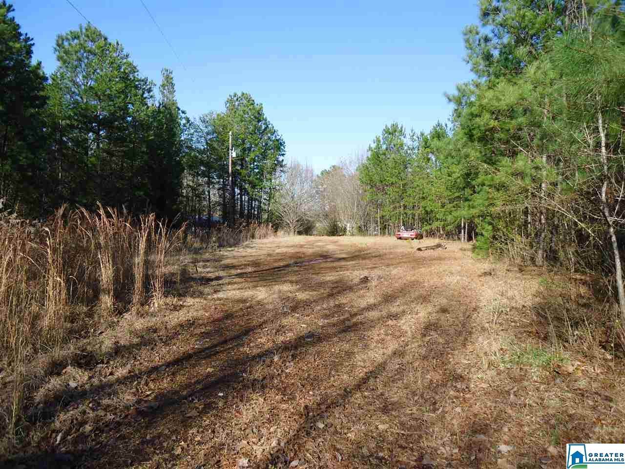 4401 Hicks Rd - Photo 1