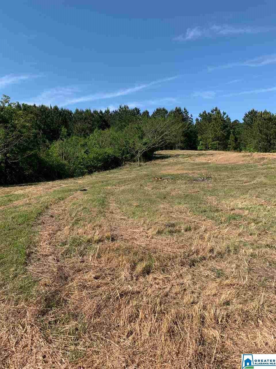 3220 Self Creek Rd - Photo 1