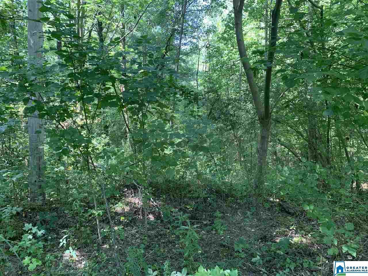 0 Hayfield Dr - Photo 1