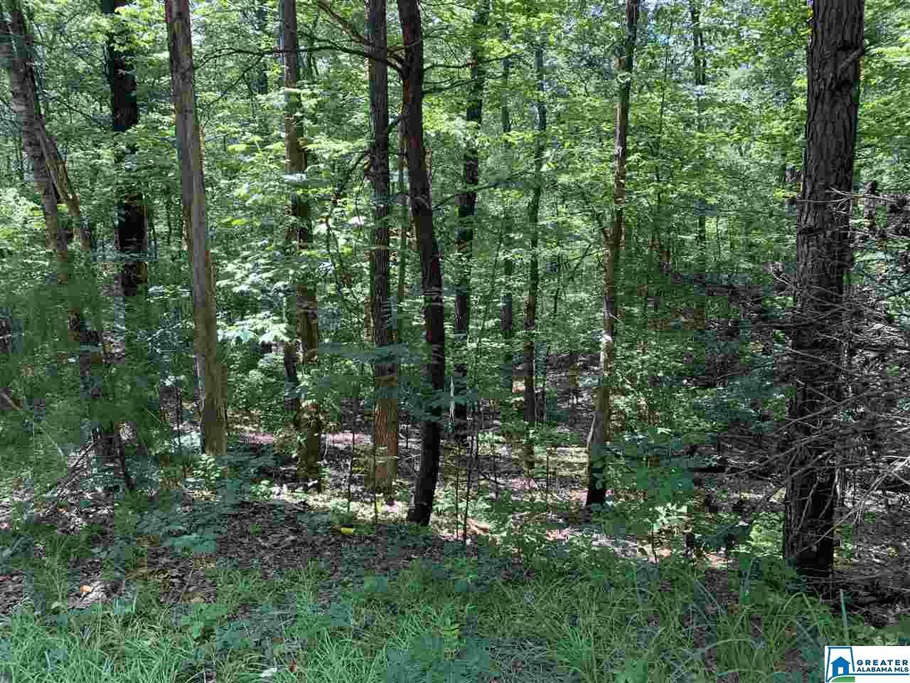 0 Hayfield Loop - Photo 1