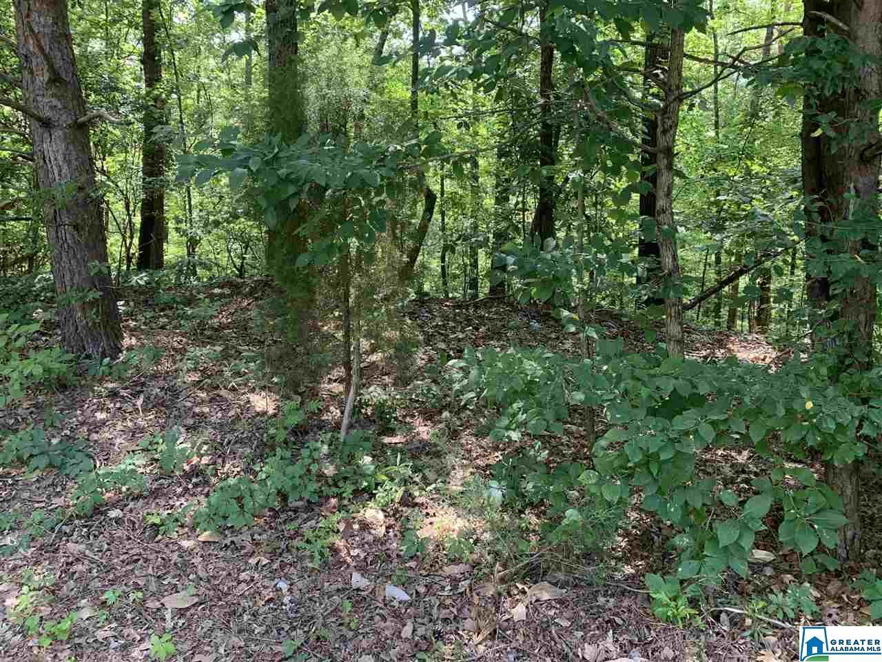 0 Hayfield Loop - Photo 1