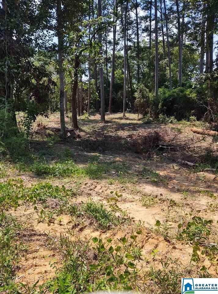 6475 William Dr - Photo 1