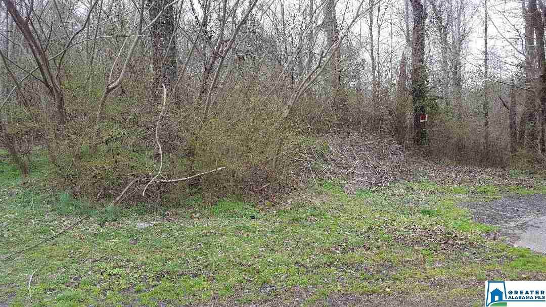 556 8TH AVE - Photo 1