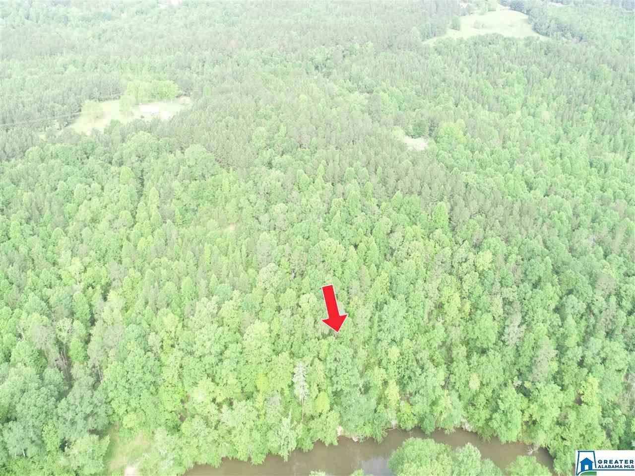 Tract 4 Co Rd 532 - Photo 1
