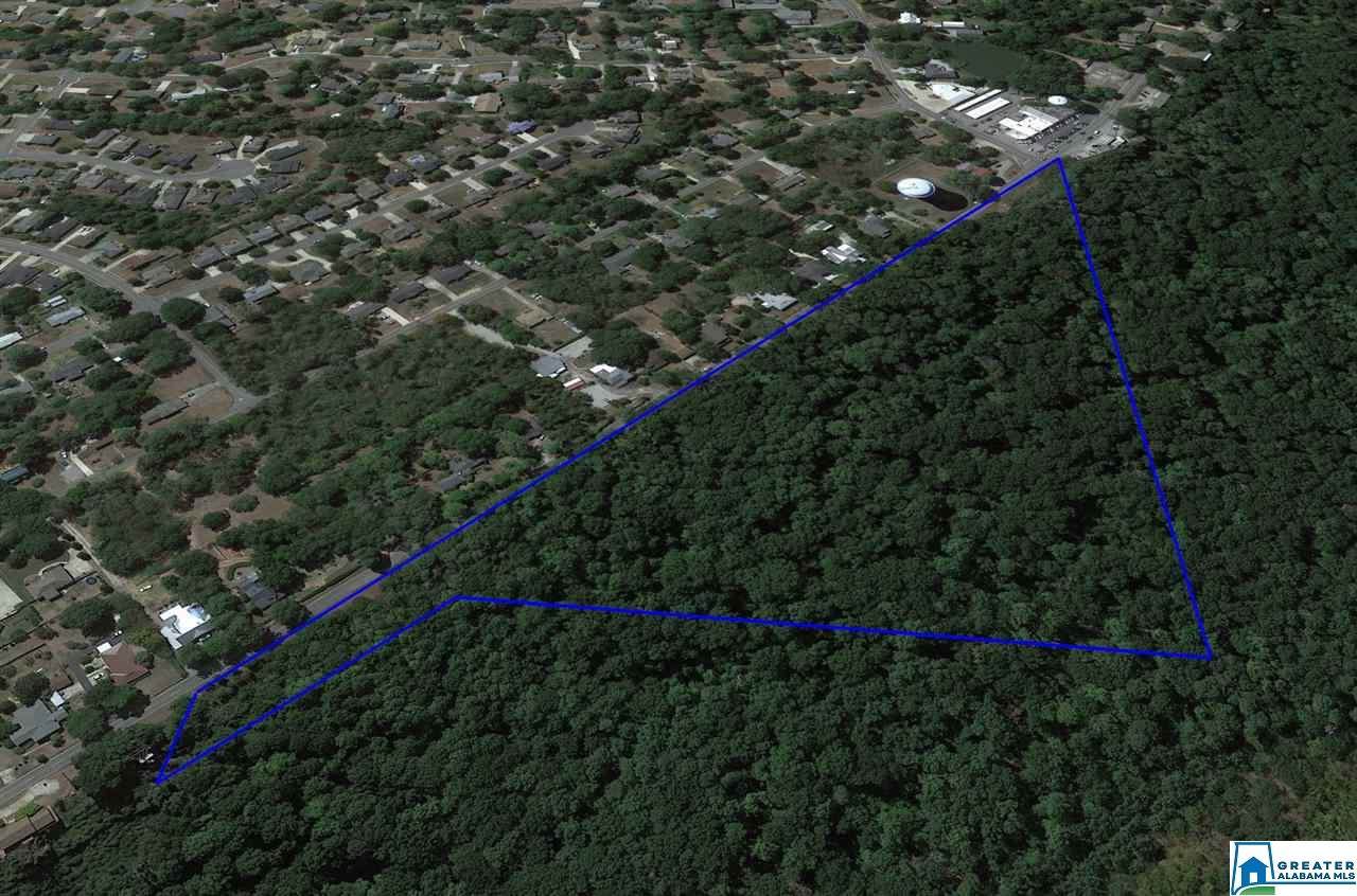 650 Shades Crest Rd - Photo 1