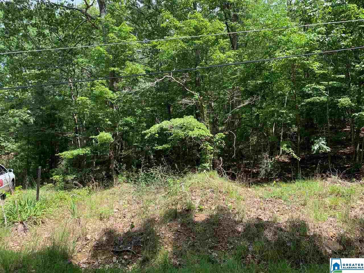 51 Echo Hill Tr - Photo 1