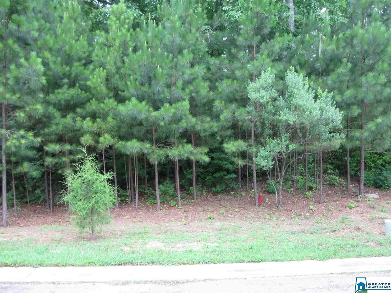 7536 Surrey Ln - Photo 1