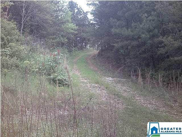 Co Rd 919 - Photo 1