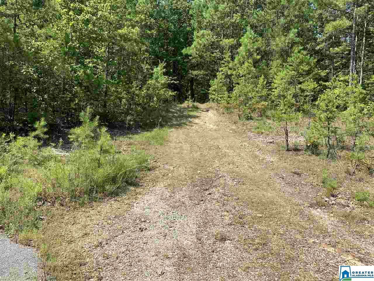 625 Highland Woods Dr - Photo 1