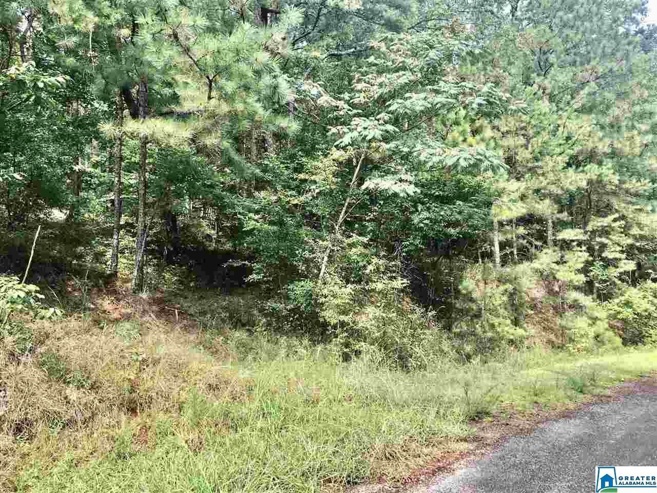 000 Nola Trail - Photo 1