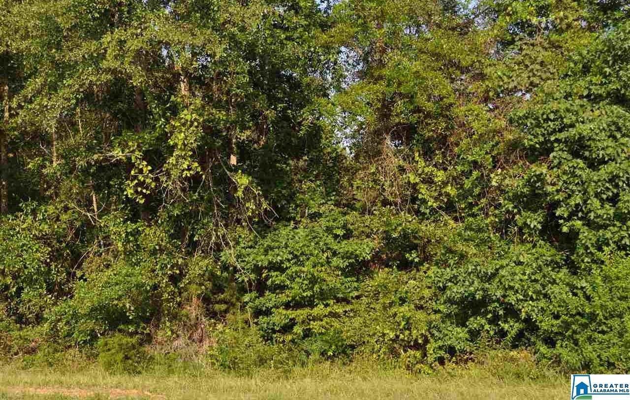 0 Co Rd 307 - Photo 1