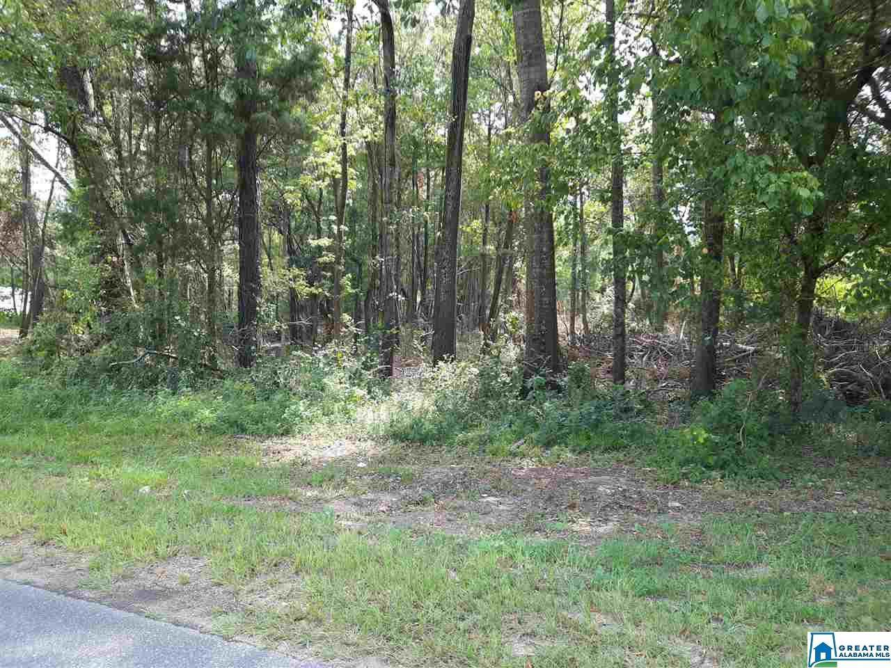 0 Kincheon Rd - Photo 1