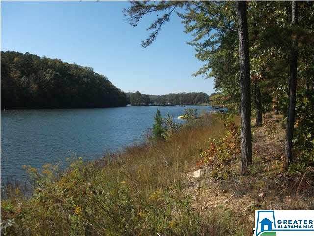 0 Shelton Shores Dr - Photo 1