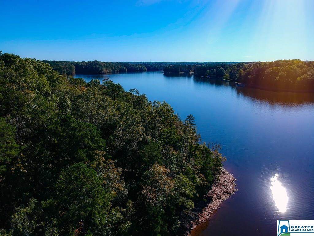 Tract 5 Co Rd 3294 - Photo 1