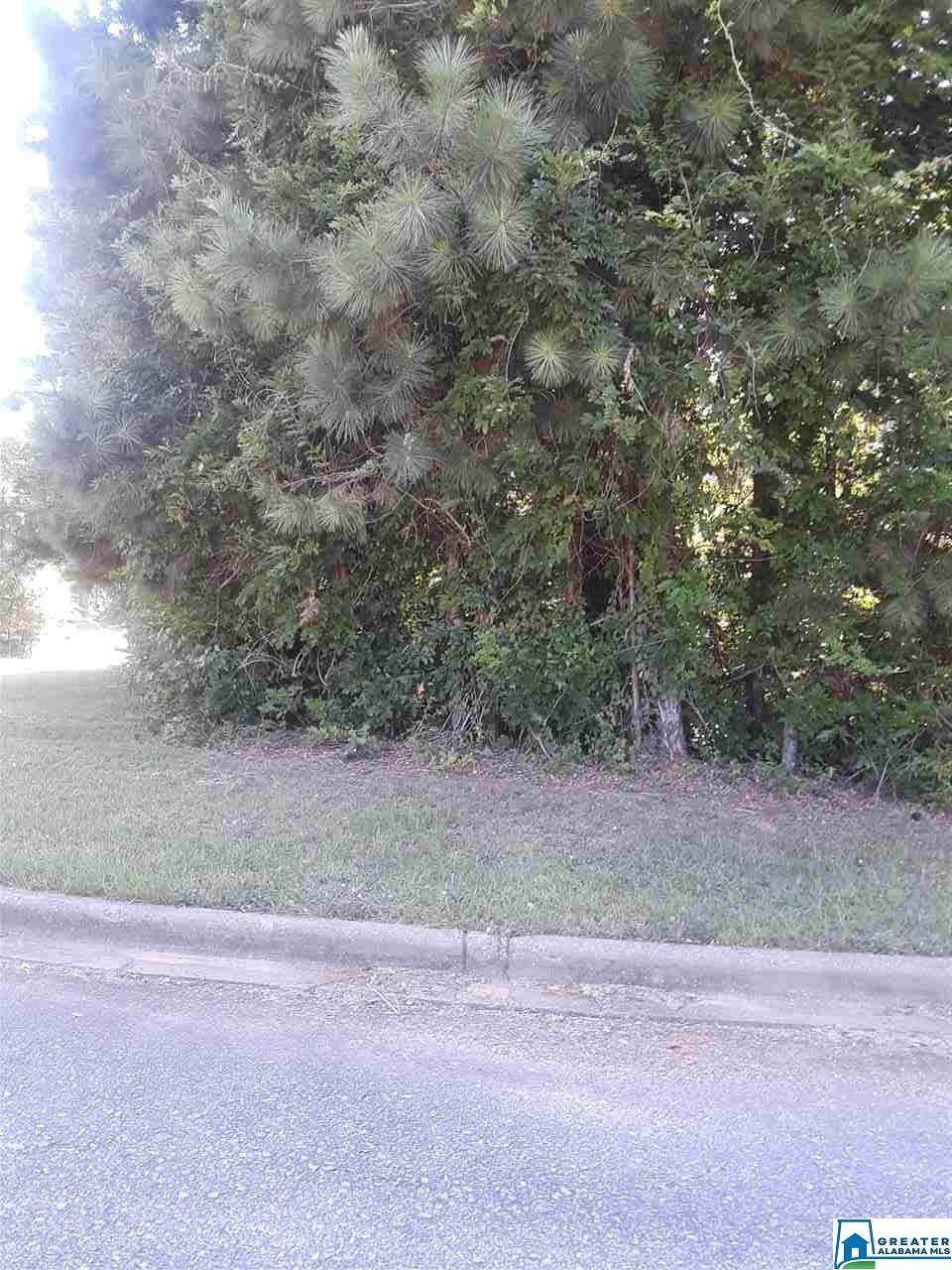 1009 Lakeview Ln - Photo 1