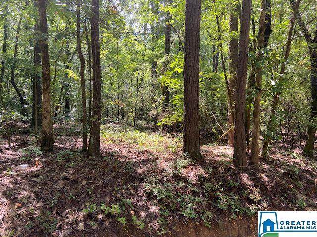 0 Co Rd 89 - Photo 1