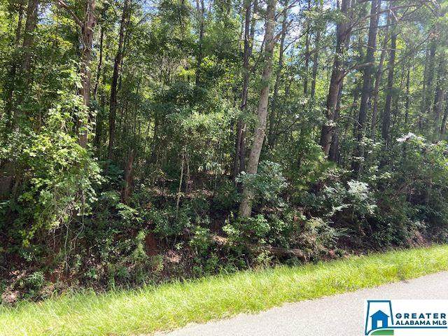 0 Co Rd 89 - Photo 1