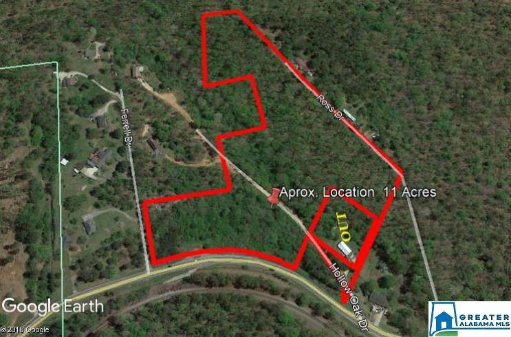 11 Acres Morgan Rd - Photo 1