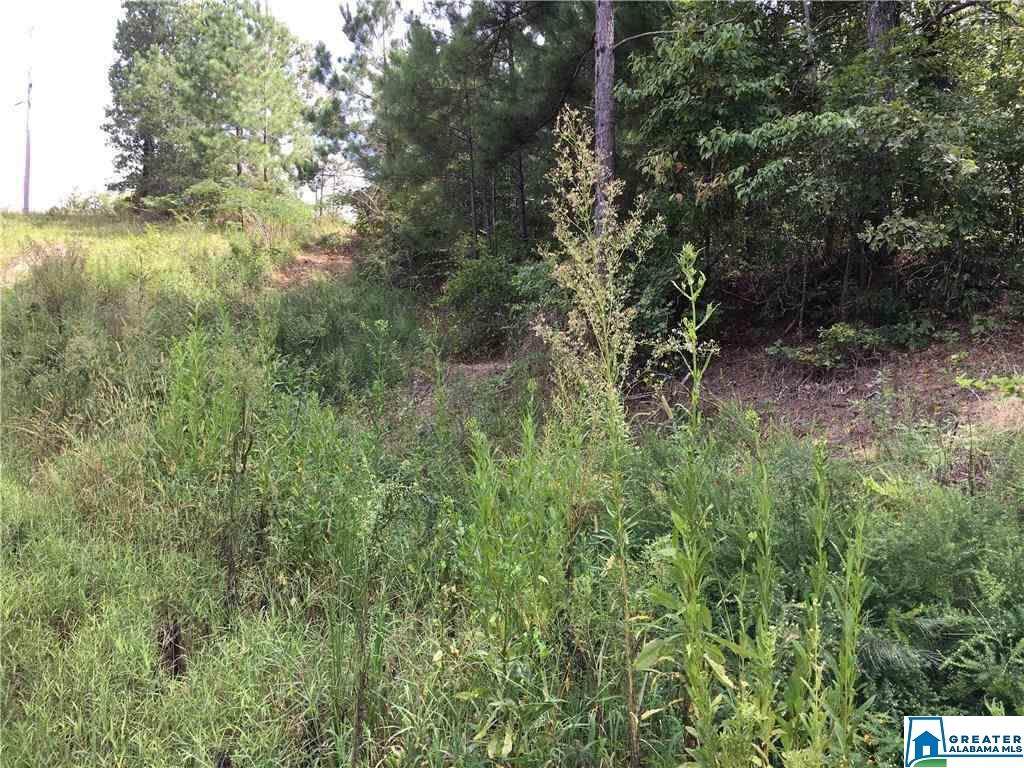 42 Greentree Dr - Photo 1