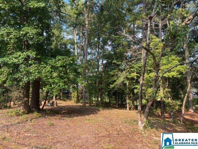 9311 Hwy 41 - Photo 1
