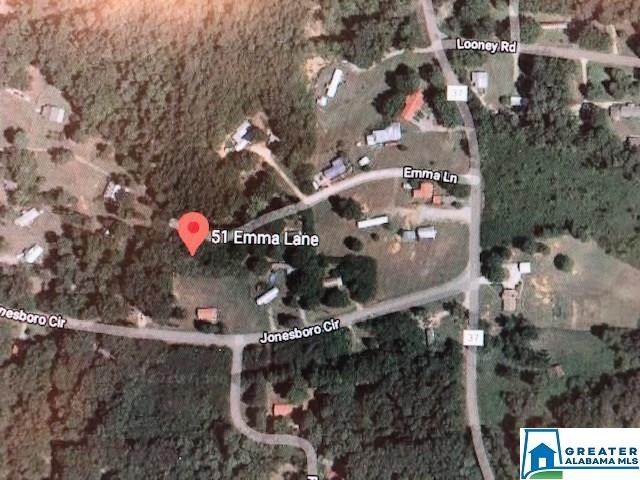51 Emma Ln - Photo 1