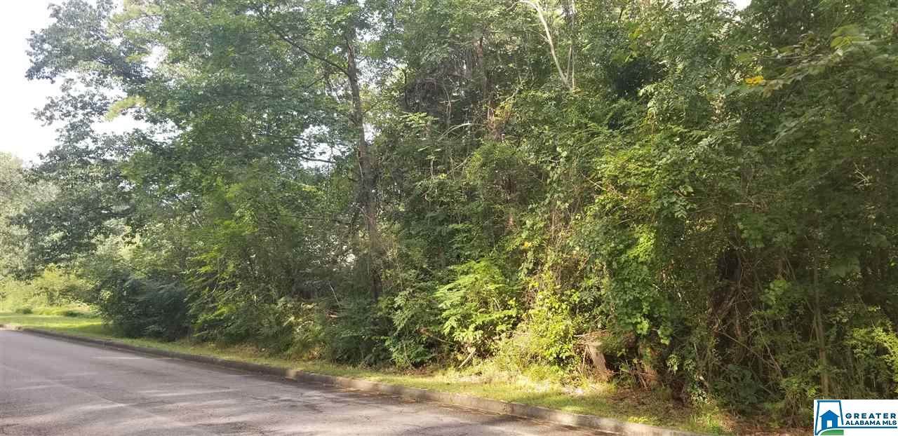 3613 Mill Springs Rd - Photo 1
