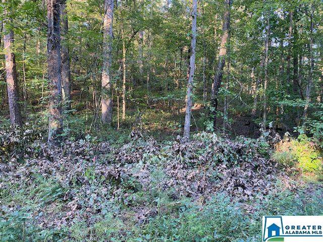 0 Holliday Dr - Photo 1