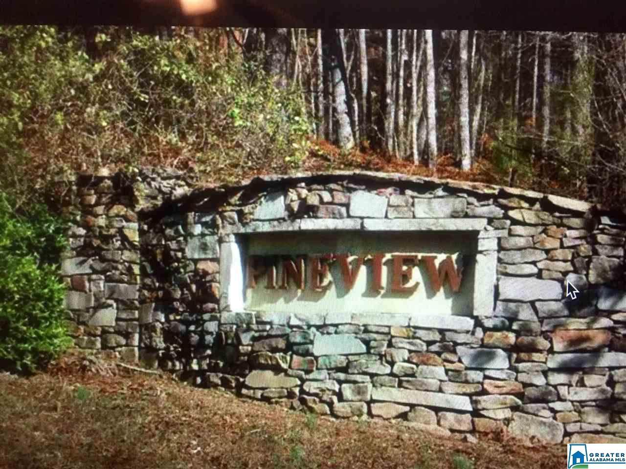 Pine View Dr - Photo 1