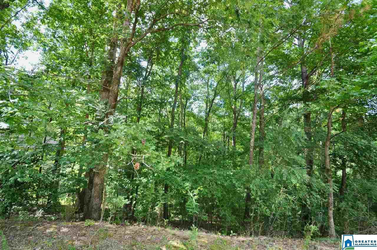125 Rocky Waters Cir - Photo 1