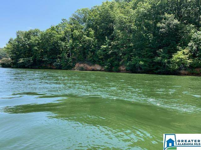0 Lake Ridge Ln - Photo 1