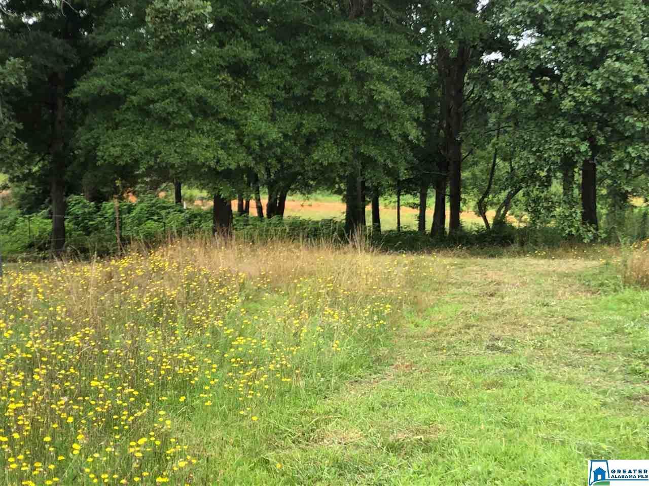Pinewood Dr - Photo 1