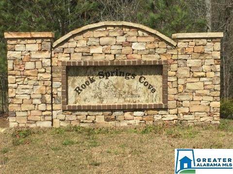 0 Springs Cove Rd - Photo 1