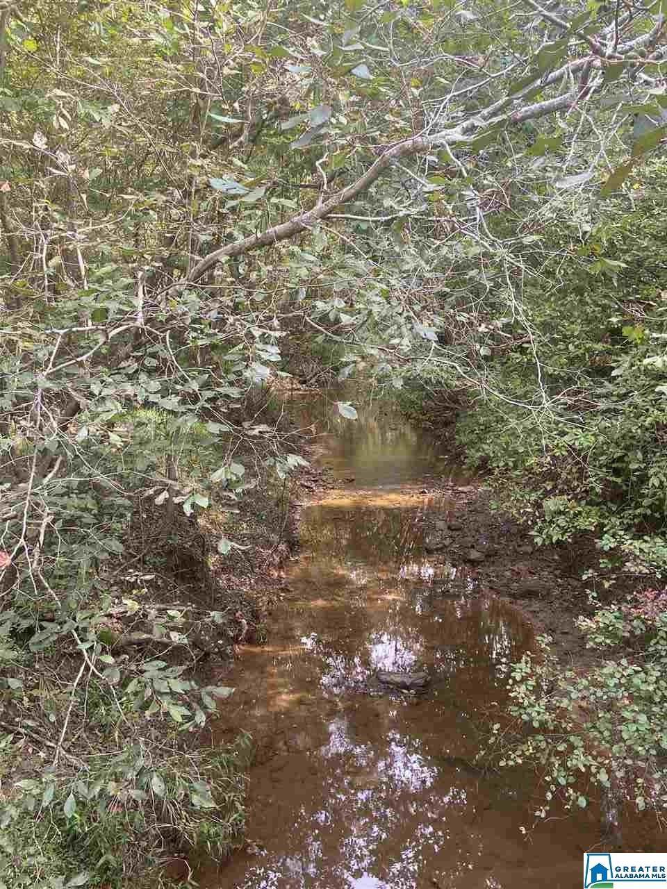 0 Co Rd 631 - Photo 1