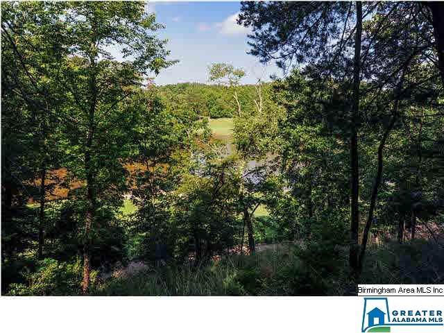 4298 Kings Mountain Ridge - Photo 1