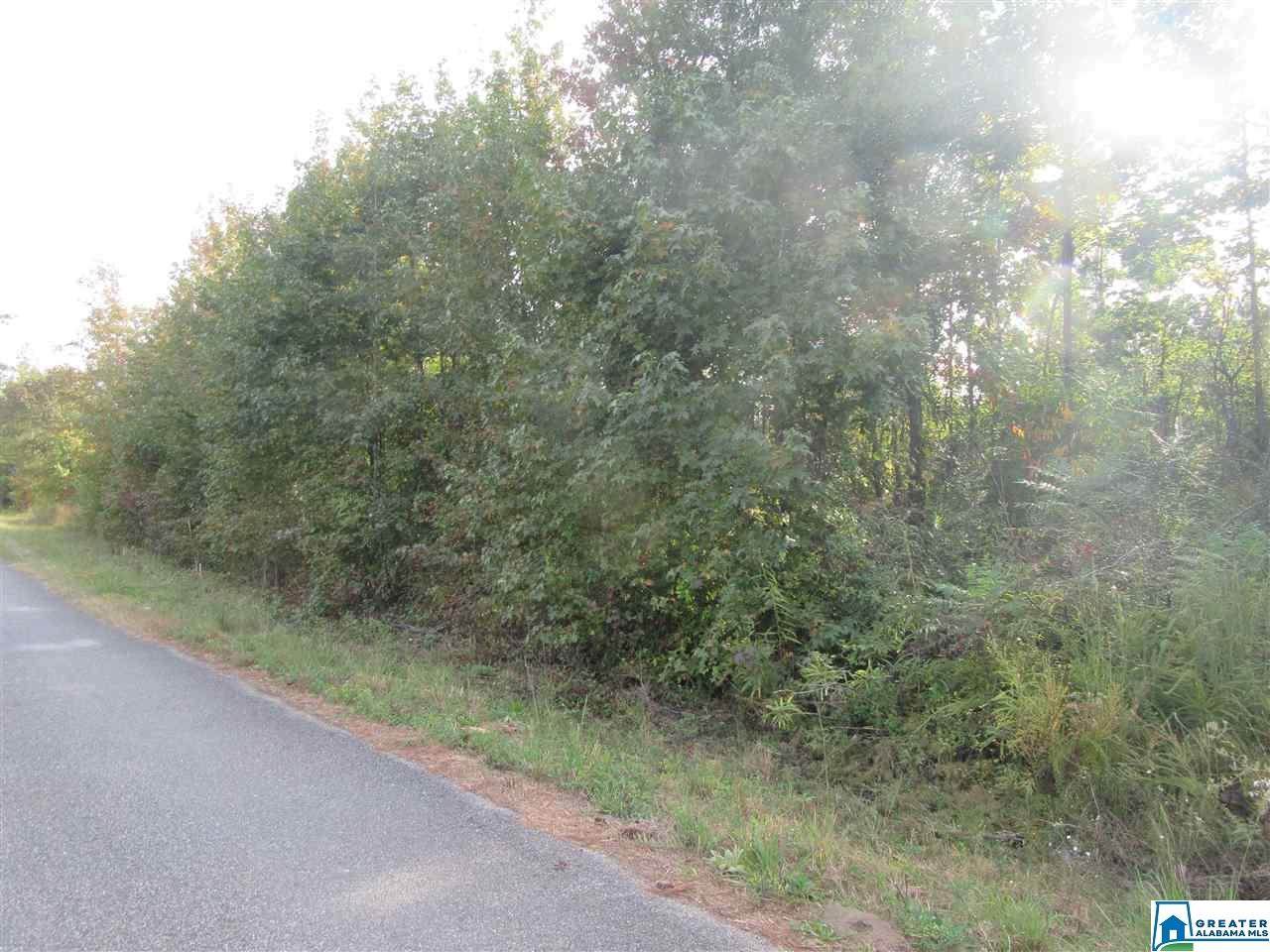 0 Paul Bear Bryant Rd - Photo 1