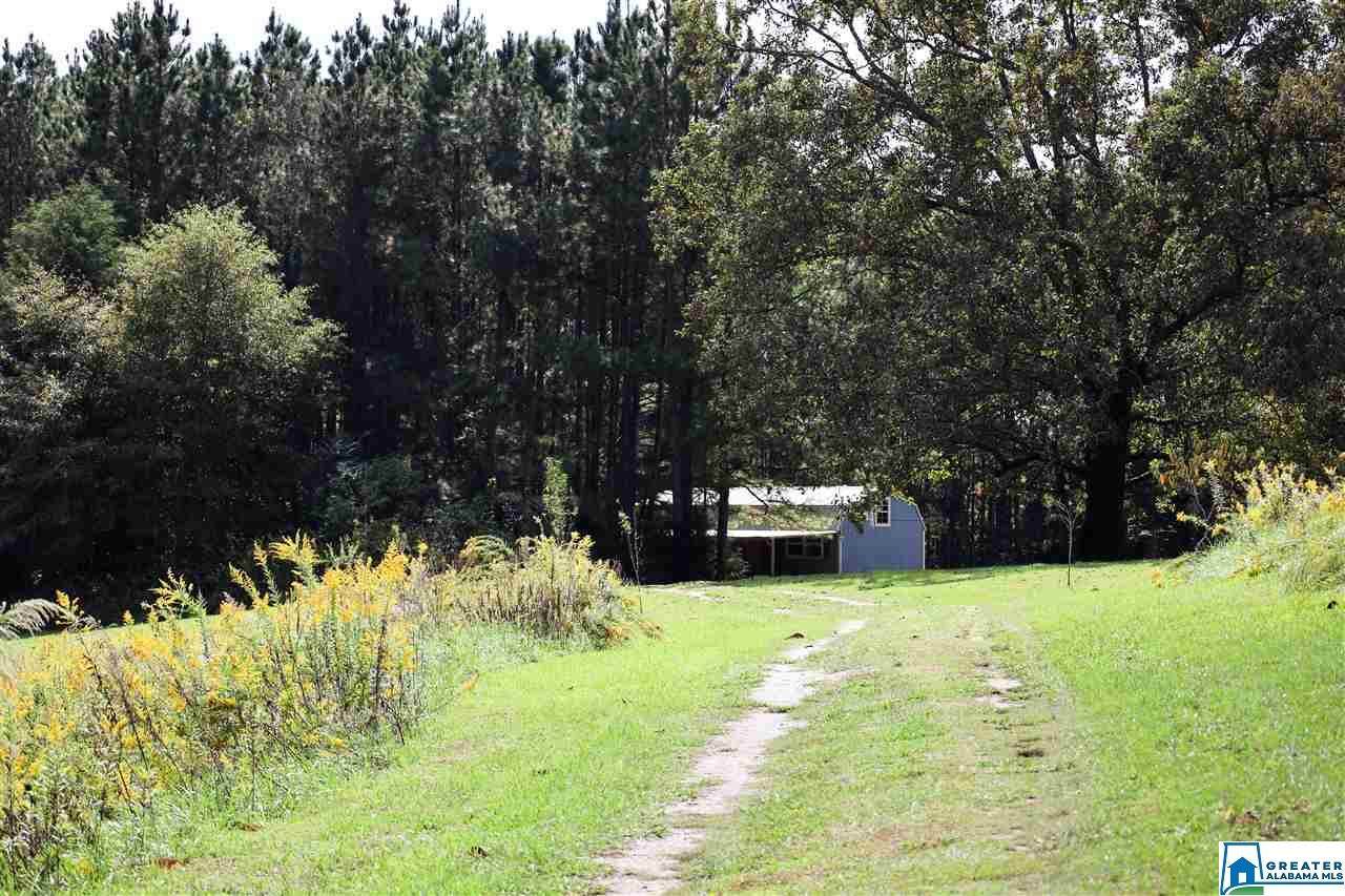 150 Co Rd 246 - Photo 1