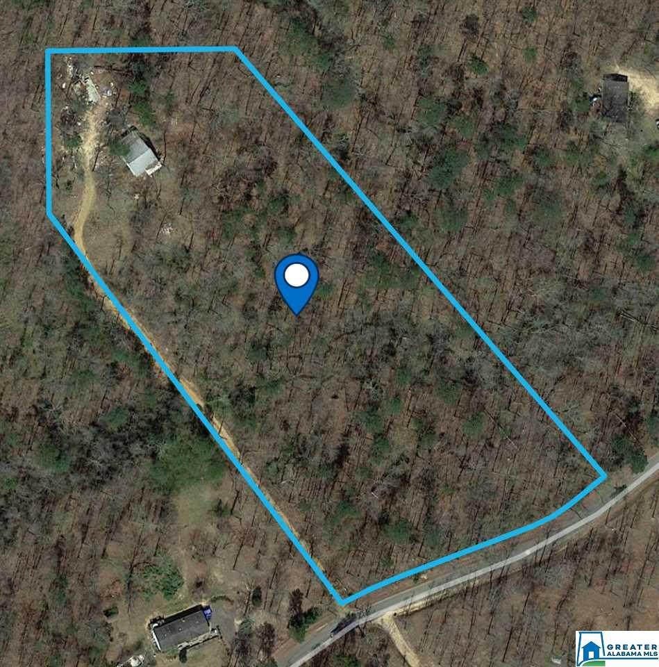 975 Lynch Lake Rd - Photo 1