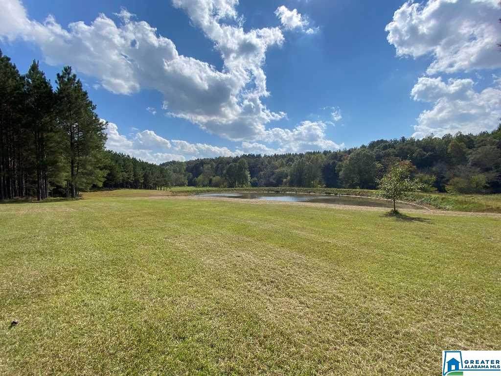 328 Co Rd 509 - Photo 1