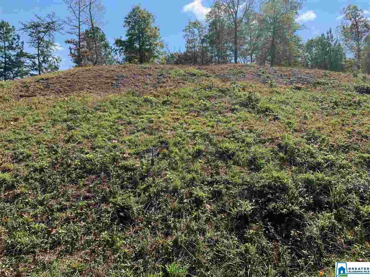 0 Hays Cemetery Rd - Photo 1