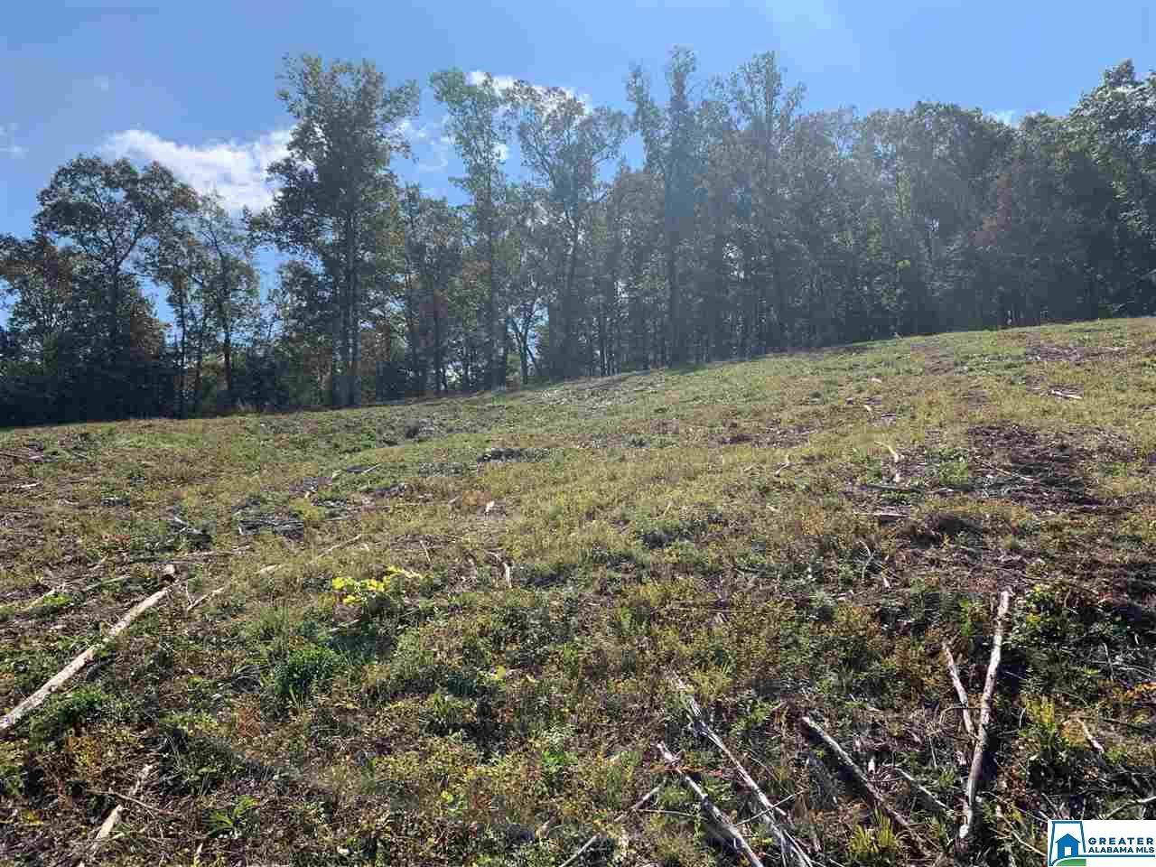 0 Hays Cemetery Rd - Photo 1