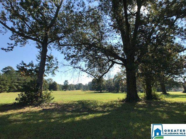 0 Poplar Springs Trail - Photo 1