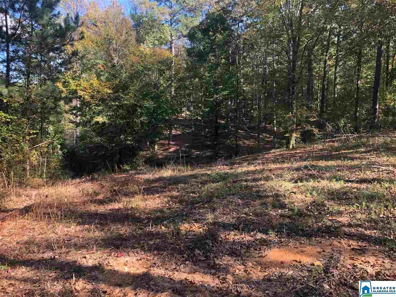 203 Jewell Rd - Photo 1