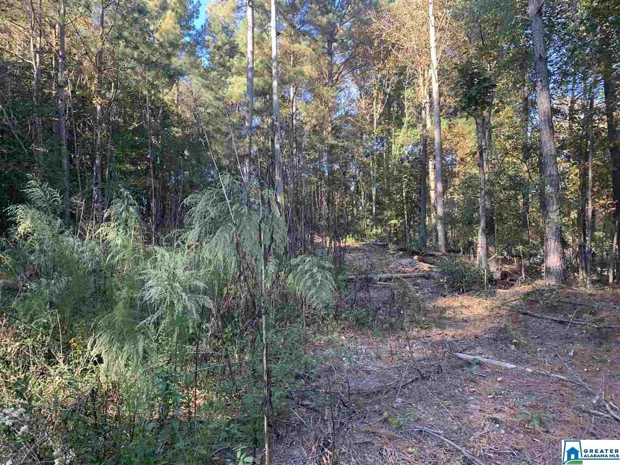 2555 Evergreen Rd - Photo 1